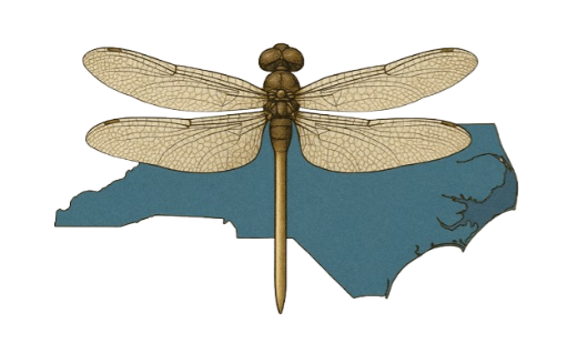 Lakeview Condominium Association